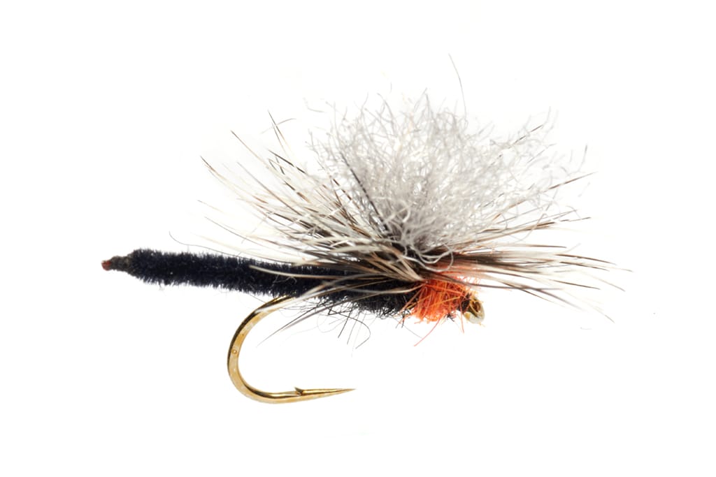 Jackie's Black Palamino Parachute Orange