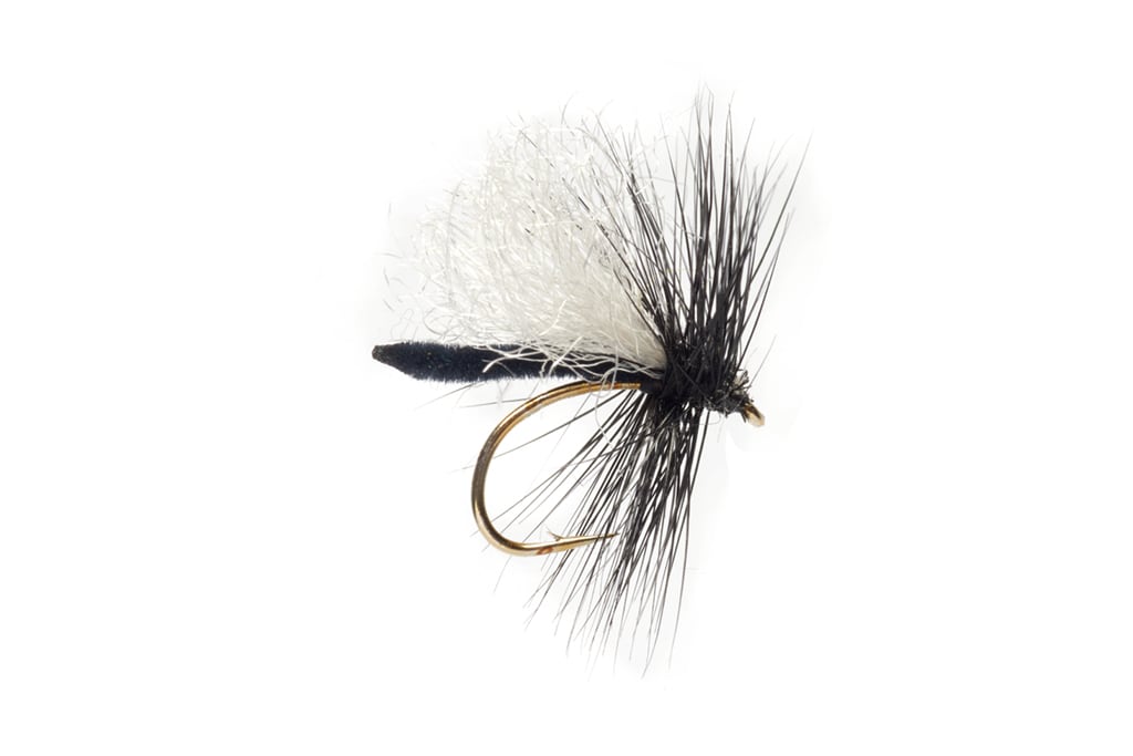 Jackie's Palamino Duckfly