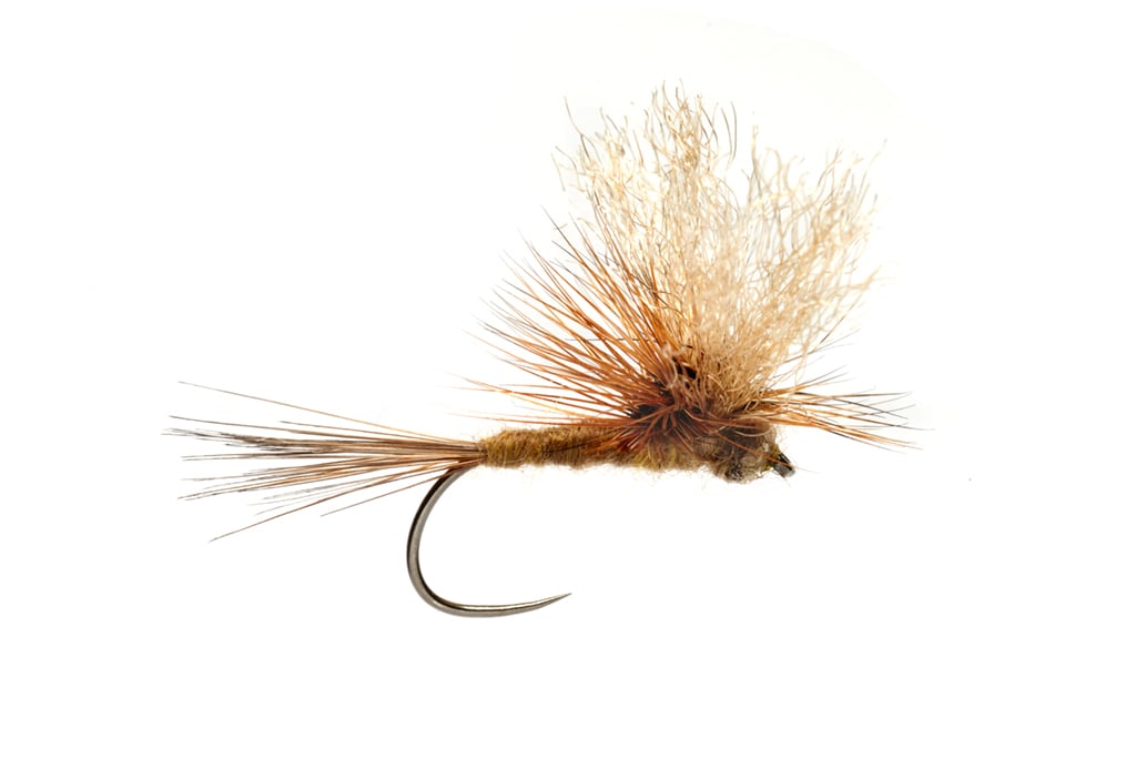 Buckey's Pete The Meat Barbless