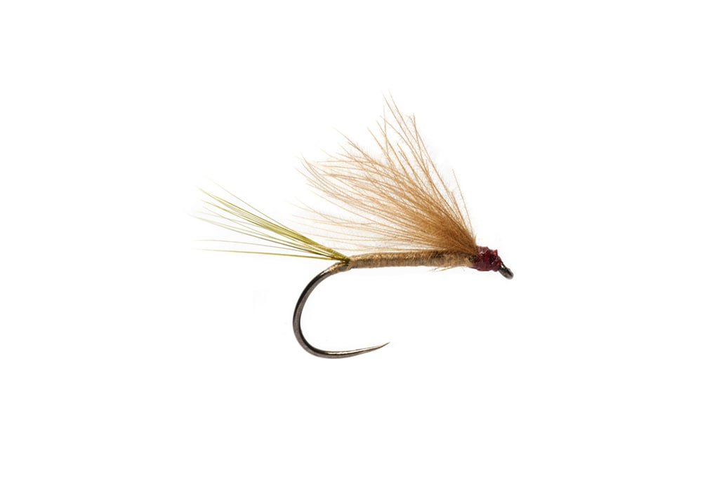Buckey's The Olive Barbless