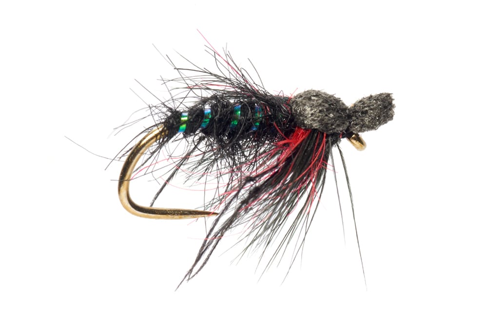 Jenkins' Popper Hopper Bibio Barbless