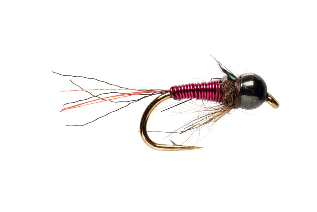 Procter's Claret Wire Flashback Nymph