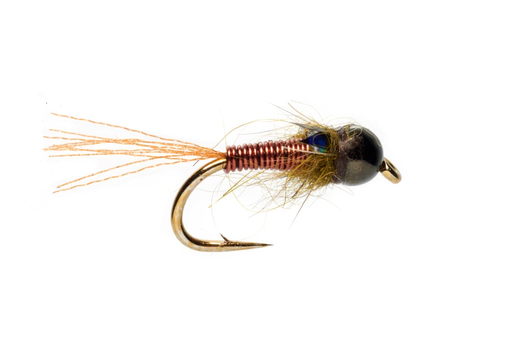 Procter's Brown Wire Flashback Nymph