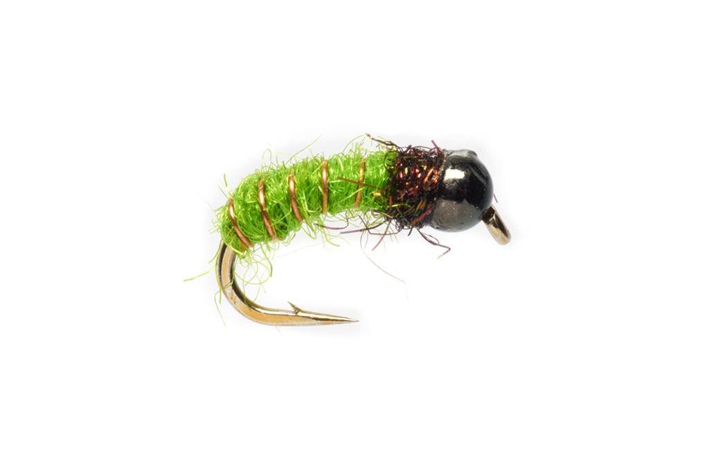 Procter's Caddis Pupa Green
