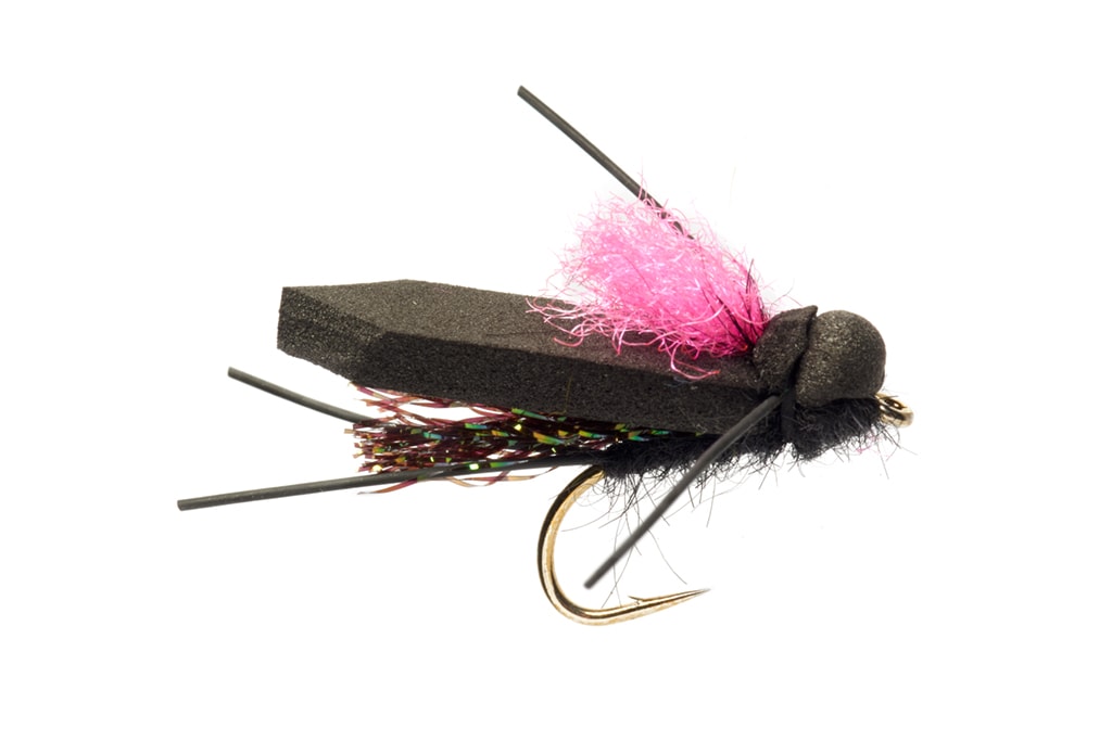 Procter's Flip Flop Bush Cicada Pink Wing
