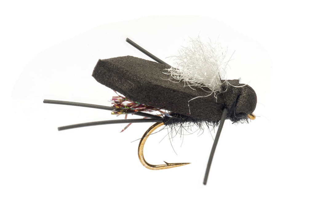 Procter's Flip Flop Bush Cicada White Wing