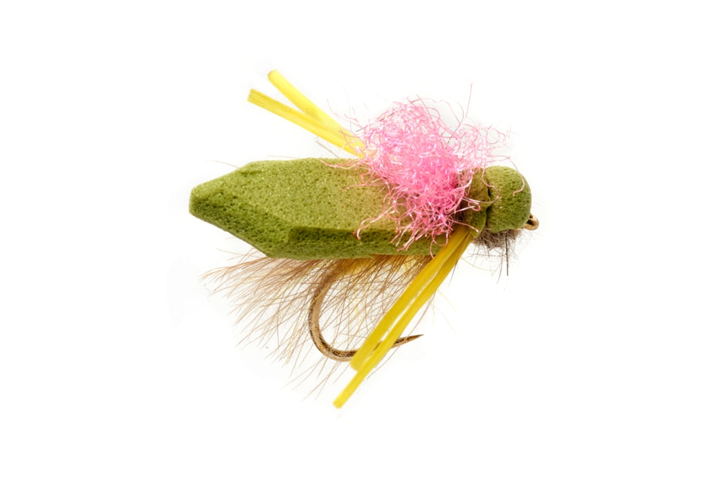 Procter's Flip Flop Tussock Cicada Pink Wing