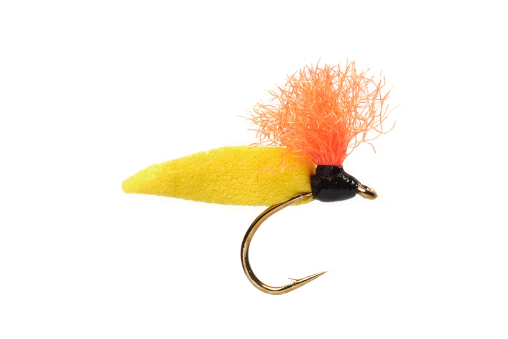 Procter's Willow Grub