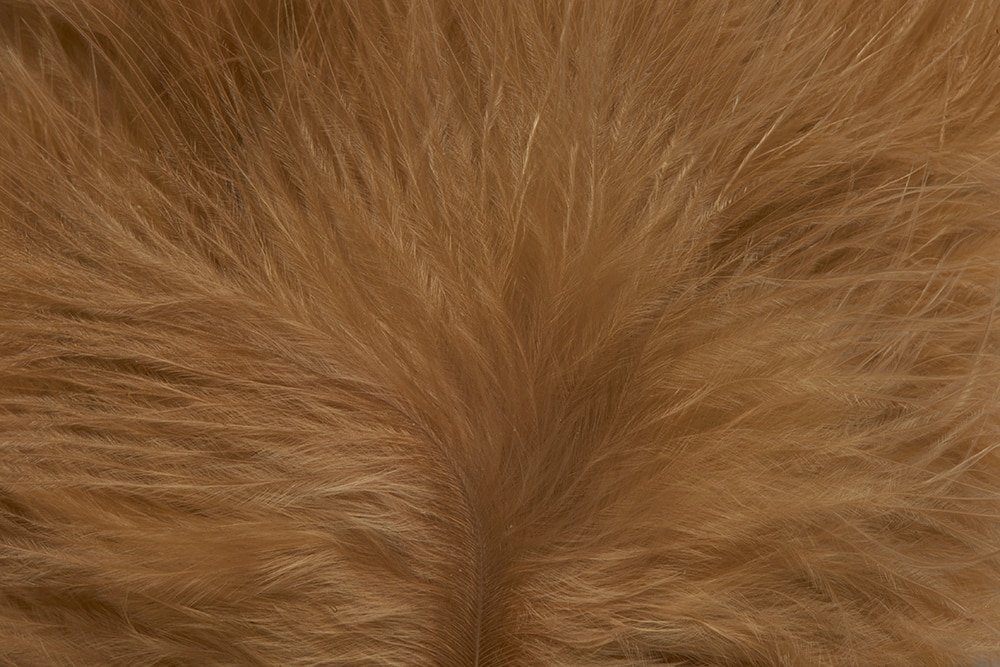 Mini Marabou