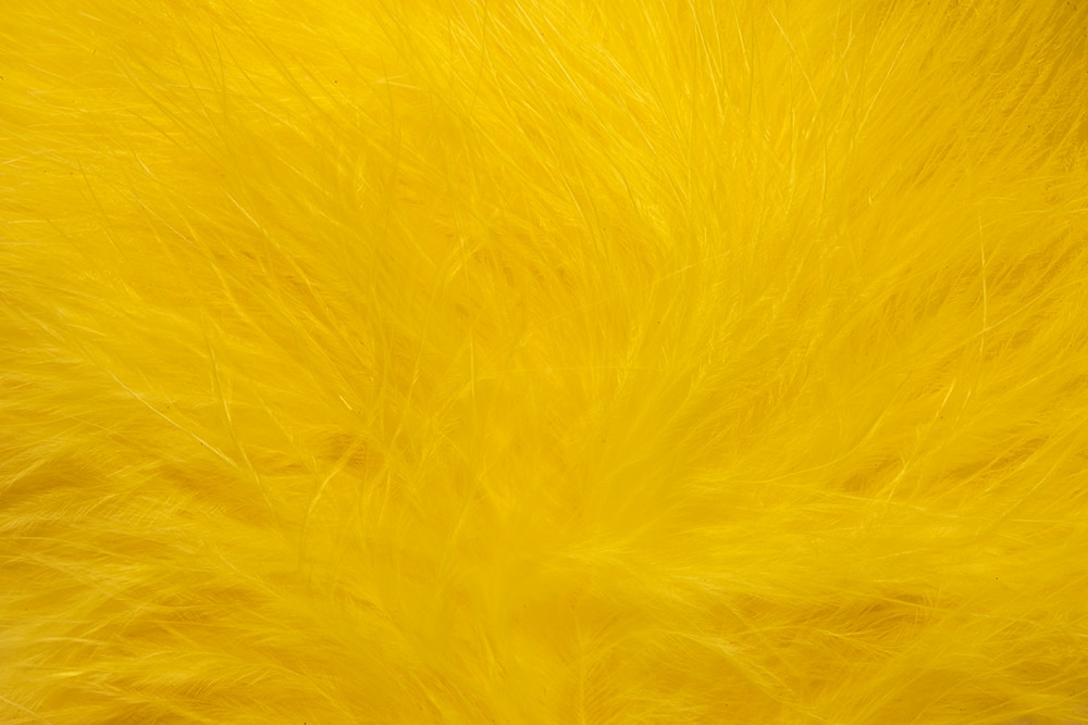 Mini Marabou