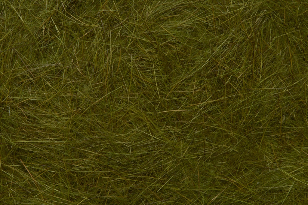 Argentine Hare Dubbing