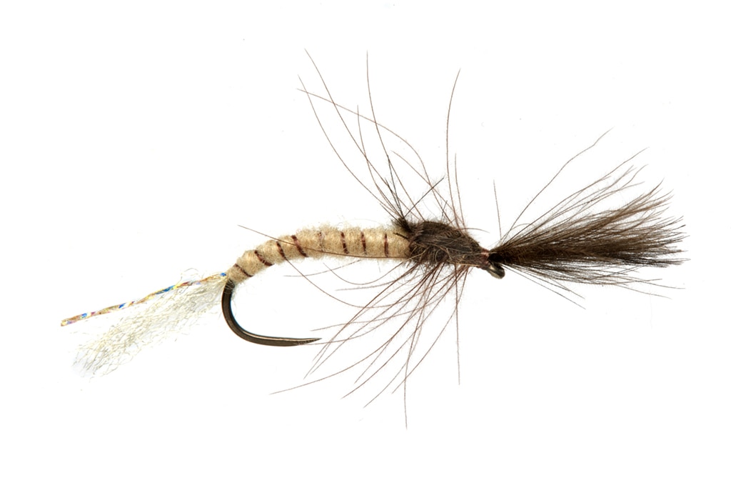 Lewis' Mayfly Emerger