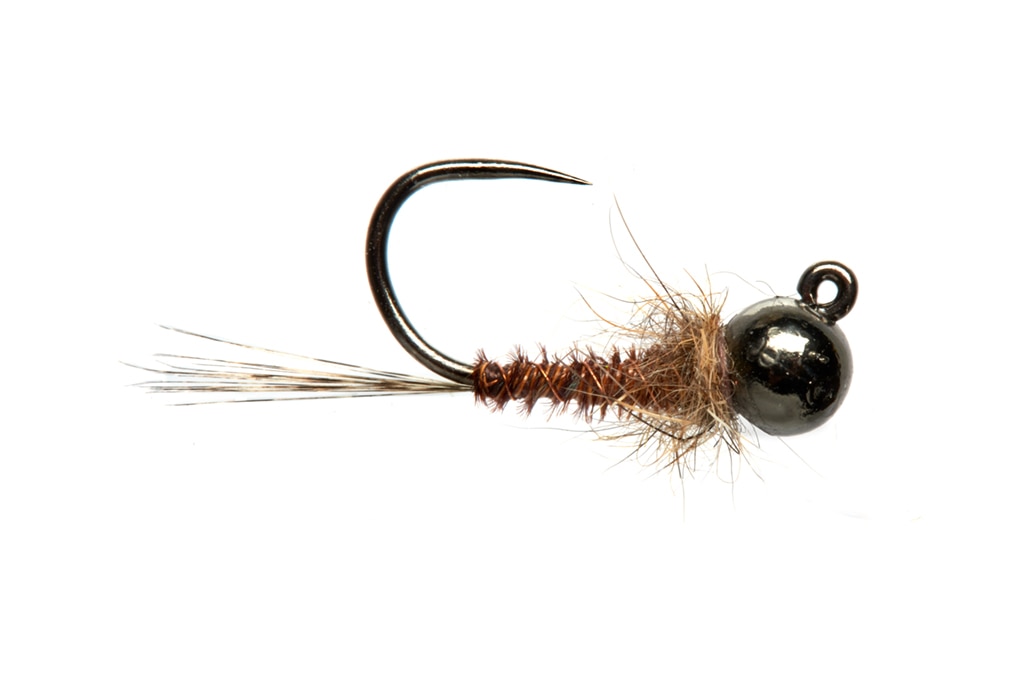 Bassett's Backcountry PT