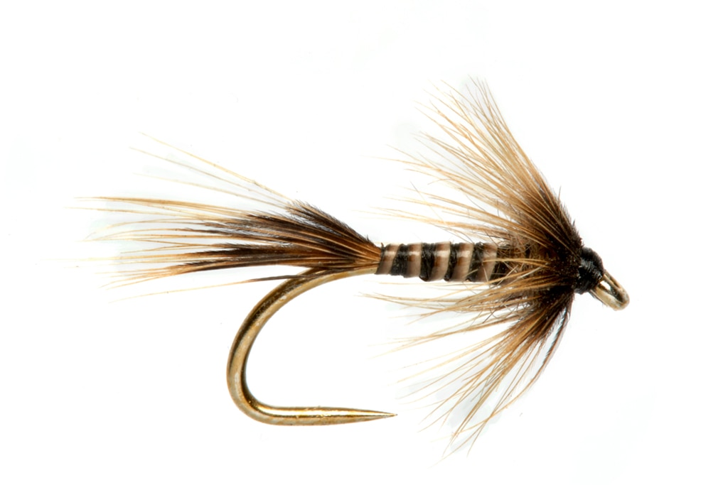 Rob's Quill Cruncher Natural